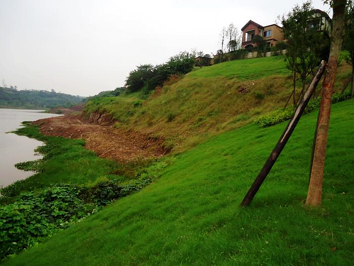 已完成的清表管線