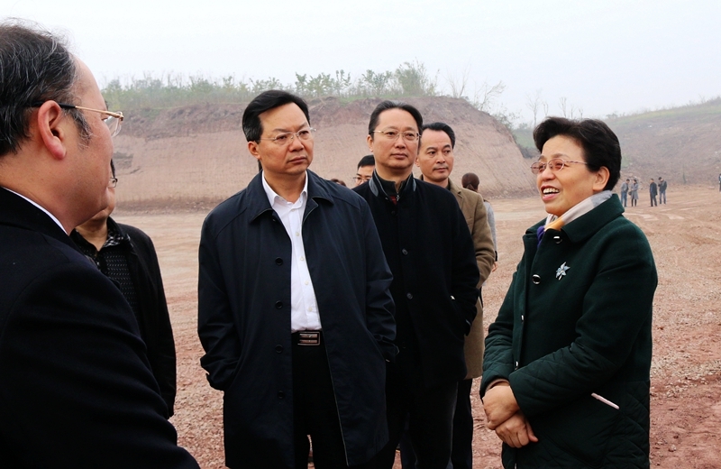 省政協(xié)副主席，省總工會主席李登菊率省督導組 到公司建設(shè)工地衛(wèi)康院綜合體項目督導工作