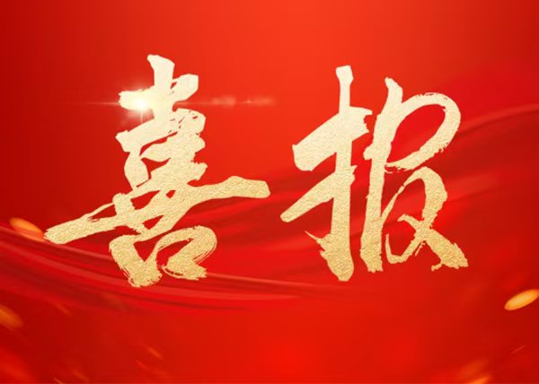 匯東股份公司及下屬企業(yè)2人榮獲自貢市2023年度重大項(xiàng)目攻堅(jiān)先進(jìn)集體和先進(jìn)個(gè)人